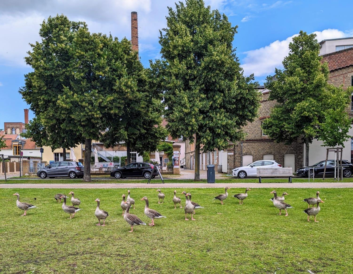 Lendelhaus & Historische Saftfabrik Werder Apartment แวร์เดอร์ ภายนอก รูปภาพ
